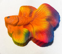 Betta Fish