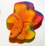 Betta Fish