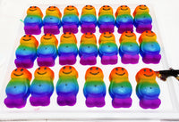 Rainbow Baby