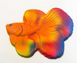 Betta Fish